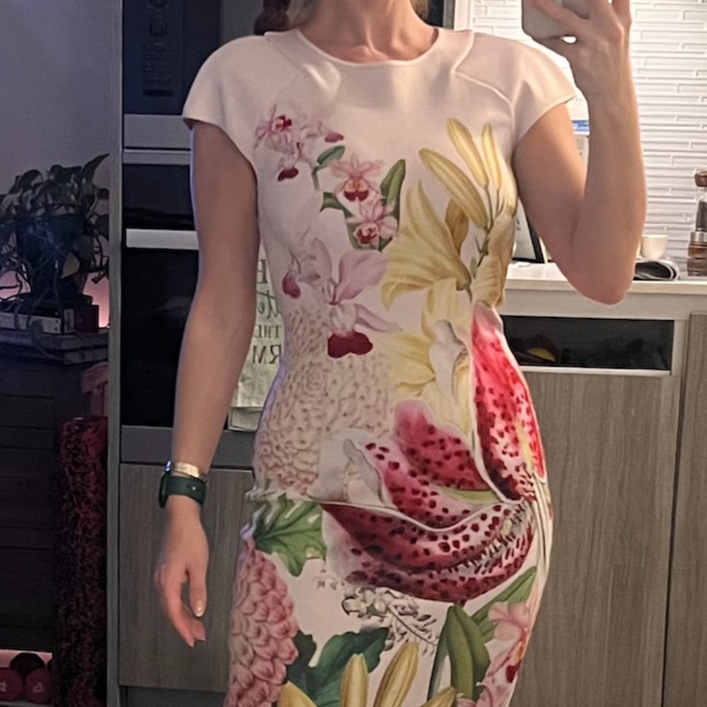 Ted baker Dress, size 1